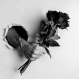 peekylink from onlyfans